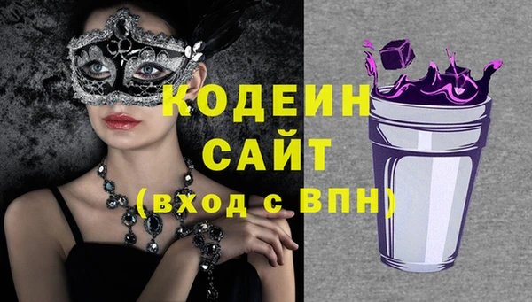 индика Абинск