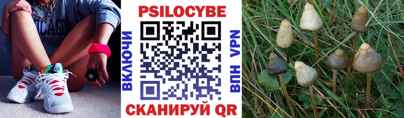 Псилоцибиновые грибы Magic Shrooms  цены наркотик  Карабаново 