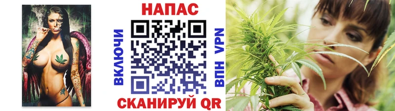 продажа наркотиков  Карабаново  Бошки марихуана конопля 